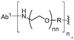 Figure FDA0002889616210000541