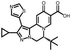 Figure BDA0003141290410002242