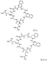 Figure imgf000014_0001