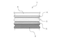 Figure 2005255829