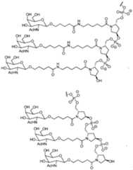 Figure imgf000091_0002