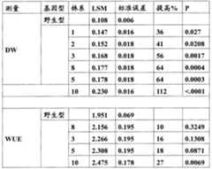 Figure G2008800178350D00381