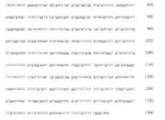 Figure 107105368-A0305-02-0054-19