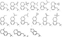 Figure imgf000166_0002