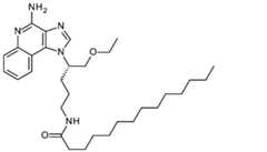 Figure 0007197244000042