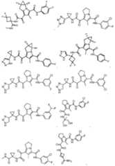 Figure imgf000111_0001