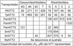 Figure imgf000088_0002