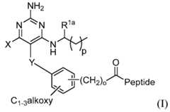 Figure imgf000032_0002