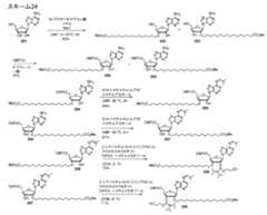 Figure 2023500681000075