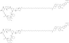 Figure US12048749-20240730-C00240