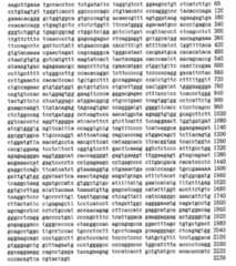 Figure 104109152-A0305-02-0135-19