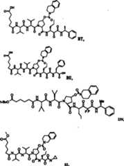 Figure F2009101493490C00241