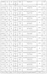 Figure 0007646616000124