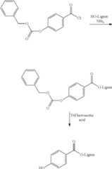 Figure US08541556-20130924-C00026