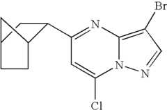 Figure US07119200-20061010-C01186