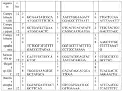 Figure imgf000027_0001