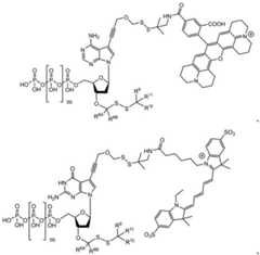 Figure BDA0003670511740002972