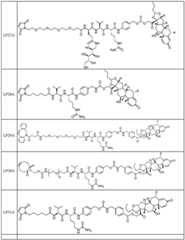 Figure FDA0002889616210000691