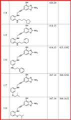 Figure DEST_PATH_IMAGE079