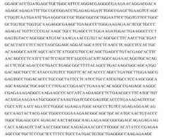 Figure imgf000079_0002