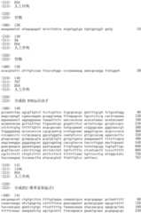 Figure IDA0002536600790001321