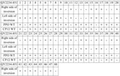 Figure PCTCN2022090268-appb-000140