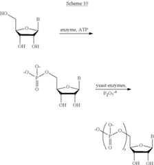 Figure US09233141-20160112-C00128