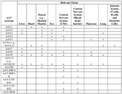 Figure imgf000072_0001