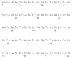 Figure 105120045-A0305-02-0160-57