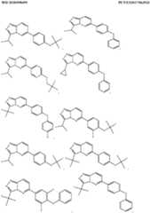 Figure imgf000006_0001