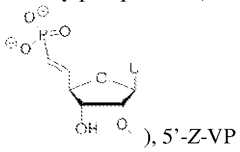 Figure imgf000057_0001