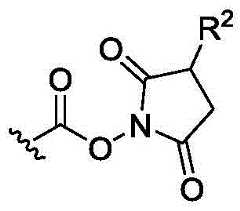 Figure BDA0003018192690002612