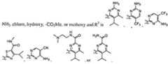 Figure imgf000331_0001