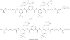 Figure US08278309-20121002-C00051