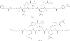 Figure US08278309-20121002-C00040