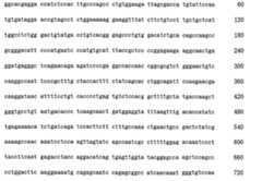 Figure 105140410-A0202-12-0253-68