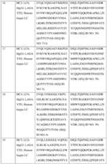 Figure imgf000033_0001