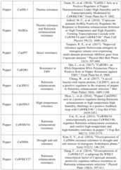 Figure PCTCN2022090268-appb-000027