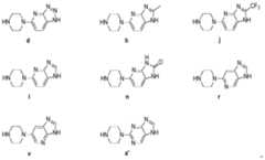 Figure PCTCN2016079489-appb-000011