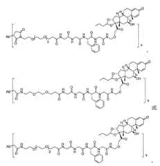 Figure 112151408-A0202-12-0041-91