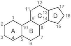 Figure imgf000006_0001