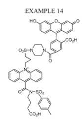 Figure imgf000071_0001