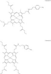 Figure US06582930-20030624-C00012