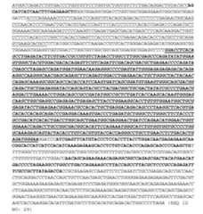 Figure imgf000050_0001