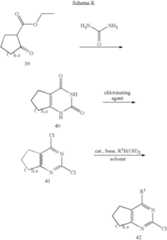 Figure US08222263-20120717-C00338