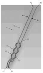 Figure P1020137014401