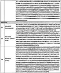 Figure imgf000045_0001