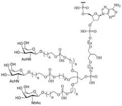 Figure 2023012548000564