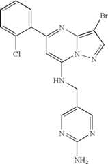 Figure US07119200-20061010-C01274