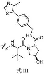 Figure GDA0003276334280000054